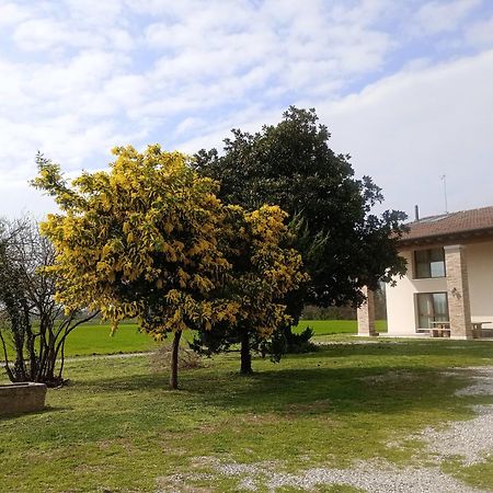 Agriturismo Trabucco Casale sul Sile Exterior photo