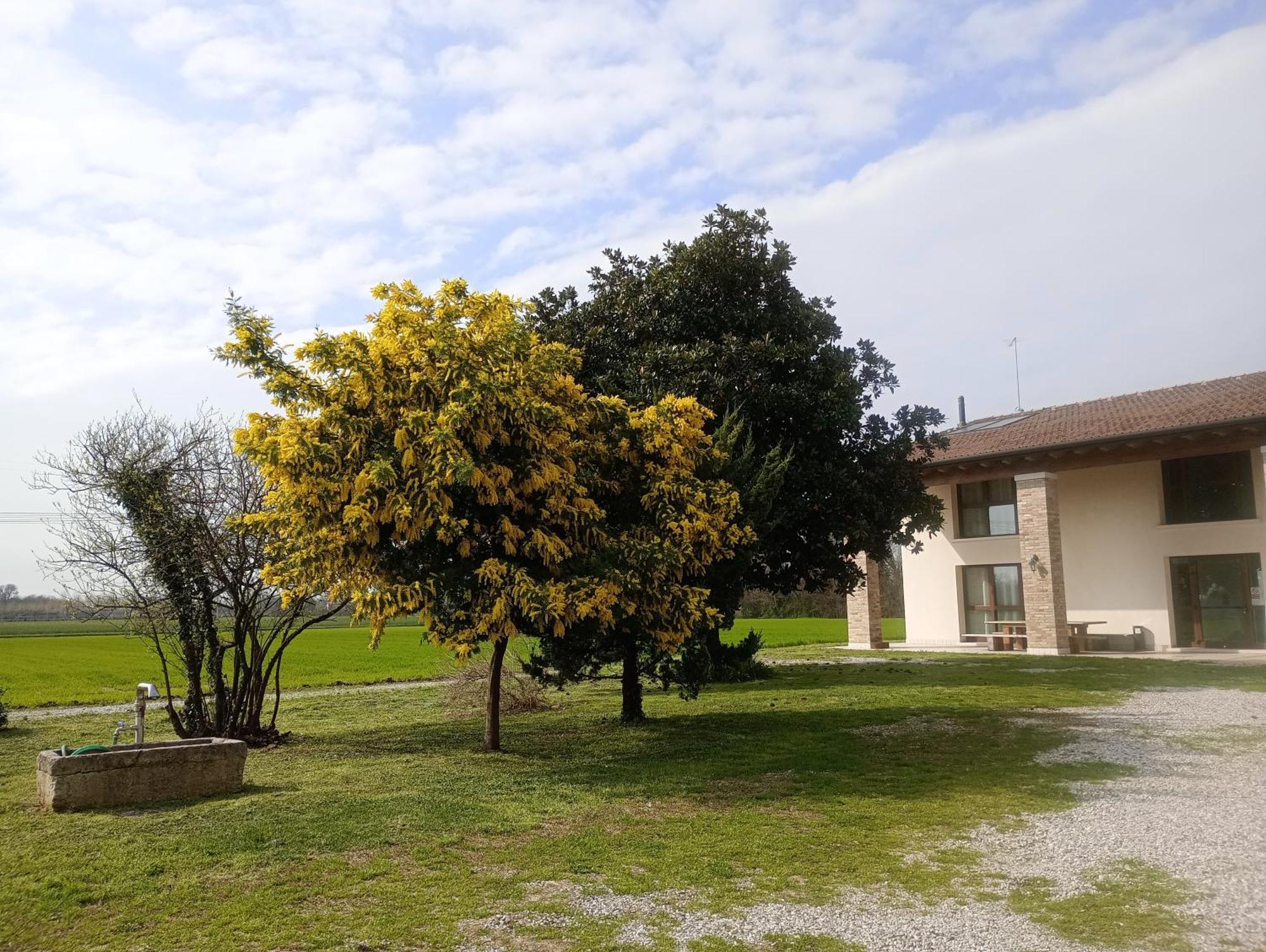 Agriturismo Trabucco Casale sul Sile Exterior photo